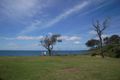 Property photo of 133 The Marina Culburra Beach NSW 2540