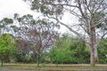 Property photo of 12 Amaroo Avenue Mount Colah NSW 2079