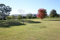 Property photo of 159 Torryburn Road Torryburn NSW 2421