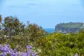 Property photo of 88 Whale Beach Road Avalon Beach NSW 2107