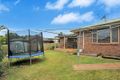 Property photo of 6 Shaun Court Kalkie QLD 4670