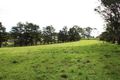 Property photo of 12 McHale Way Nelson NSW 2765