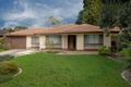 Property photo of 21 Launceston Avenue Banksia Park SA 5091