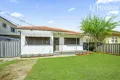 Property photo of 54 Wyong Street Canley Heights NSW 2166
