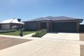 Property photo of 46 Park Avenue Echuca VIC 3564