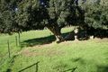 Property photo of 8145 Great Eastern Highway Mundaring WA 6073