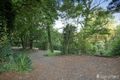 Property photo of 4 Sycamore Avenue Emerald VIC 3782