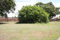 Property photo of 120 Mallawa Drive Palm Beach QLD 4221
