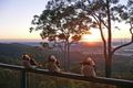 Property photo of 94 Wongawallan Drive Wongawallan QLD 4210