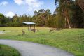 Property photo of 43 Wymeera Circuit Wyee Point NSW 2259