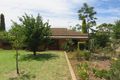 Property photo of 1/2 Norman Street Hamley Bridge SA 5401