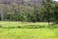 Property photo of 169 Burralong Valley Road Murrays Run NSW 2325