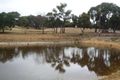 Property photo of 117 Hendersons Road Smythes Creek VIC 3351