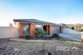 Property photo of 6 Teatree Place Kialla VIC 3631