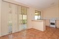 Property photo of 3 Conifer Street Hillcrest QLD 4118
