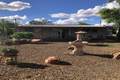 Property photo of 45 Matrix Drive Yowah QLD 4490