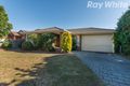 Property photo of 47 Severn Crescent Rowville VIC 3178