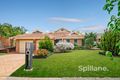 Property photo of 21 Eucalyptus Circuit Warabrook NSW 2304