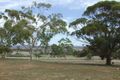Property photo of 742 Heaslip Road Wirrabara SA 5481