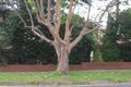 Property photo of 61 Wallis Avenue Strathfield NSW 2135