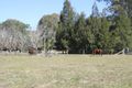 Property photo of 24 Green Trees Road Pie Creek QLD 4570