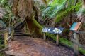 Property photo of 300 Browns Road Ranelagh TAS 7109