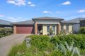 Property photo of 20 Groundsel Street Fern Bay NSW 2295