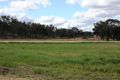 Property photo of 906 Grove Road Tingha NSW 2369
