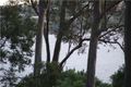 Property photo of 389 Coal Point Road Coal Point NSW 2283