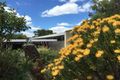 Property photo of 50 Gareth Avenue Beaumaris VIC 3193