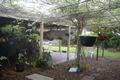 Property photo of 19 Palm Meadows Place Pialba QLD 4655