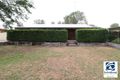 Property photo of 8 Rivergums Drive Goondiwindi QLD 4390