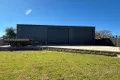 Property photo of 8 Dorset Street Forbes NSW 2871