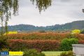 Property photo of 391 Monbulk Road Monbulk VIC 3793