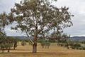Property photo of 29A Robert Hoddle Grove Bombira NSW 2850