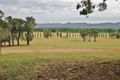 Property photo of 29A Robert Hoddle Grove Bombira NSW 2850