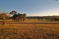 Property photo of 29A Robert Hoddle Grove Bombira NSW 2850