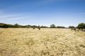 Property photo of 170 Old Plenty Road Yan Yean VIC 3755