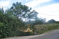 Property photo of 21 Morella Road Whale Beach NSW 2107