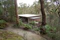 Property photo of 20 Ti Tree Crescent Berowra NSW 2081