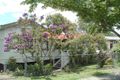 Property photo of 15 Ashgrove Avenue Ashgrove QLD 4060