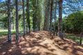 Property photo of 96 Repentance Creek Road Rosebank NSW 2480
