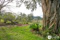 Property photo of 1725 Nulla Nulla Creek Road Bellbrook NSW 2440