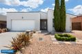 Property photo of 21 Saltbush Street Harrison ACT 2914