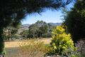 Property photo of 25 Pelham Road New Norfolk TAS 7140