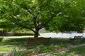 Property photo of 30 Hassans Walls Road Sheedys Gully NSW 2790