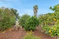 Property photo of 11 Beatrix Drive Craigmore SA 5114