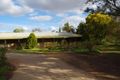 Property photo of 237 Cucumunga Street Renmark West SA 5341