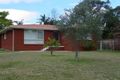 Property photo of 29 Rausch Street Toongabbie NSW 2146