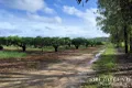 Property photo of 71 Gilmore Road Mareeba QLD 4880